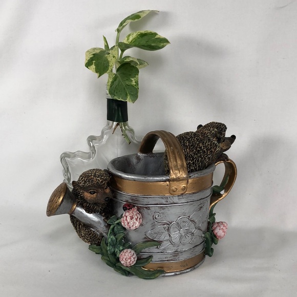 jcpenney Accents Jc Penny Watering Can With Opossums Strawberry